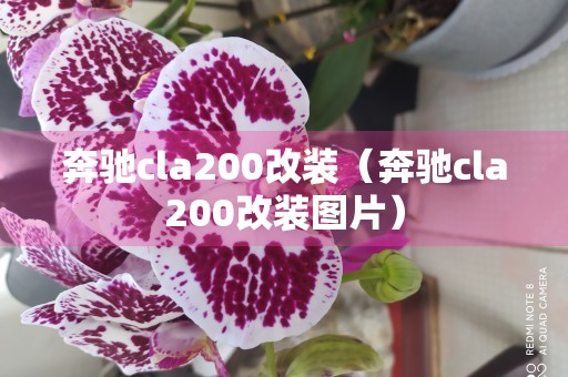 奔驰cla200改装（奔驰cla200改装图片）