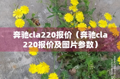 奔驰cla220报价（奔驰cla220报价及图片参数）