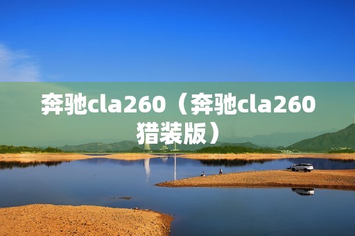 奔驰cla260（奔驰cla260猎装版）