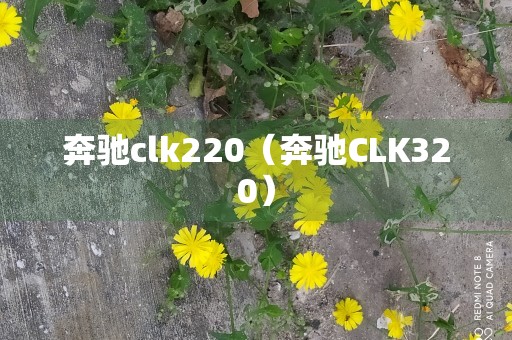 奔驰clk220（奔驰CLK320）