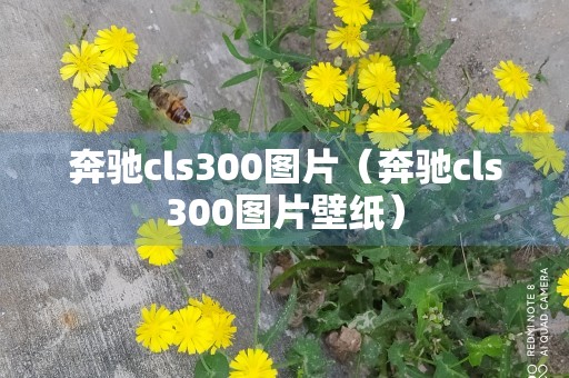 奔驰cls300图片（奔驰cls300图片壁纸）