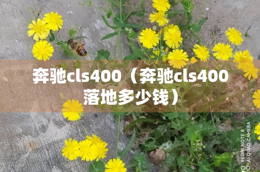 奔驰cls400（奔驰cls400落地多少钱）