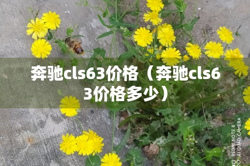 奔驰cls63价格（奔驰cls63价格多少）