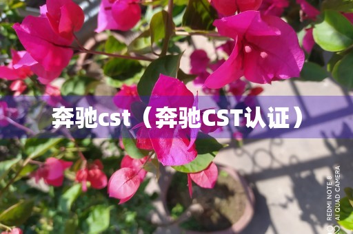 奔驰cst（奔驰CST认证）