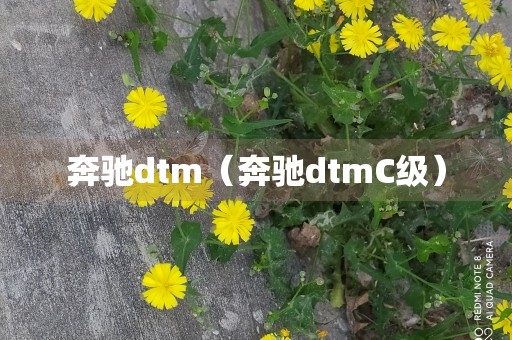 奔驰dtm（奔驰dtmC级）