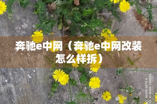 奔驰e中网（奔驰e中网改装怎么样拆）