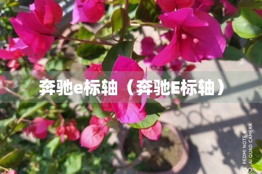 奔驰e标轴（奔驰E标轴）