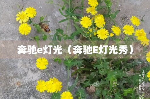 奔驰e灯光（奔驰E灯光秀）