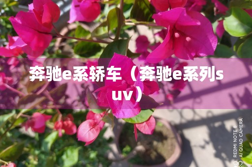 奔驰e系轿车（奔驰e系列suv）