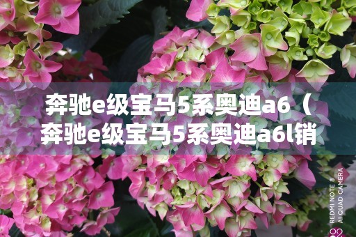 奔驰e级宝马5系奥迪a6（奔驰e级宝马5系奥迪a6l销量排名）