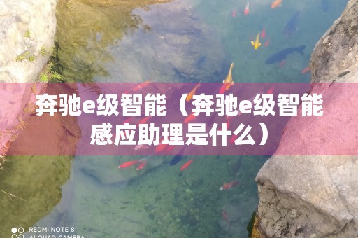 奔驰e级智能（奔驰e级智能感应助理是什么）