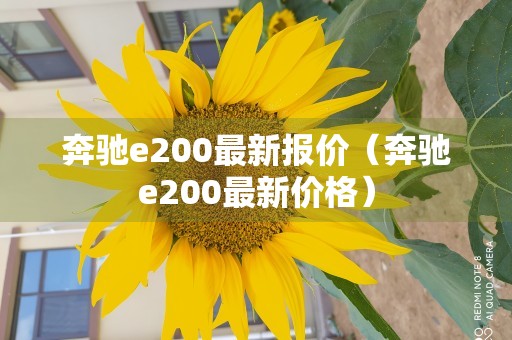 奔驰e200最新报价（奔驰e200最新价格）