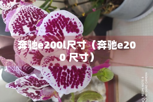 奔驰e200l尺寸（奔驰e200 尺寸）