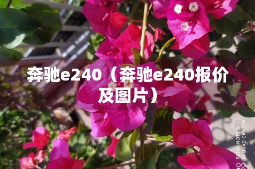 奔驰e240（奔驰e240报价及图片）