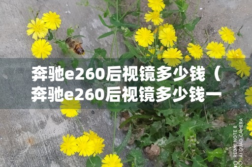 奔驰e260后视镜多少钱（奔驰e260后视镜多少钱一个）