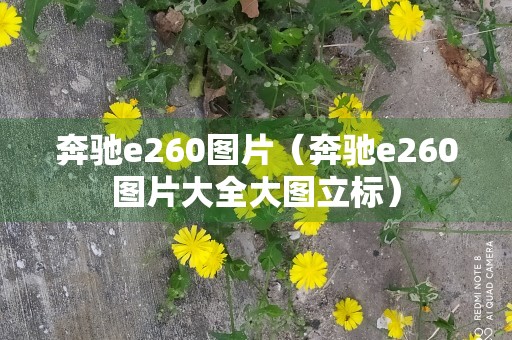 奔驰e260图片（奔驰e260图片大全大图立标）