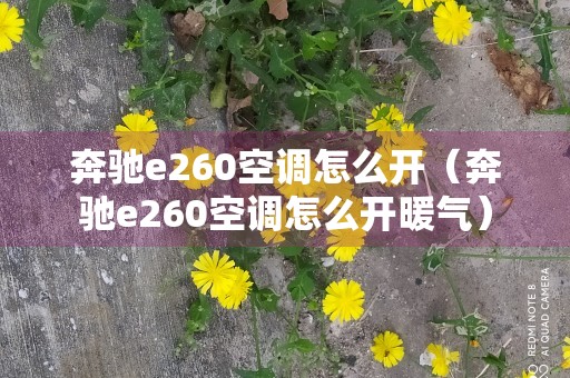 奔驰e260空调怎么开（奔驰e260空调怎么开暖气）