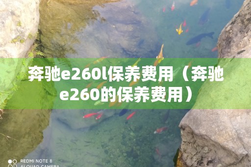 奔驰e260l保养费用（奔驰e260的保养费用）