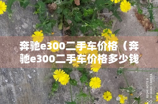 奔驰e300二手车价格（奔驰e300二手车价格多少钱）