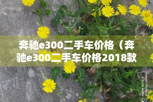 奔驰e300二手车价格（奔驰e300二手车价格2018款）