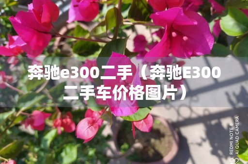 奔驰e300二手（奔驰E300二手车价格图片）