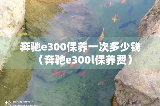 奔驰e300保养一次多少钱（奔驰e300l保养费）