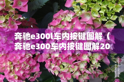 奔驰e300l车内按键图解（奔驰e300车内按键图解2013）