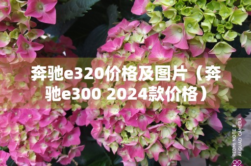 奔驰e320价格及图片（奔驰e300 2024款价格）