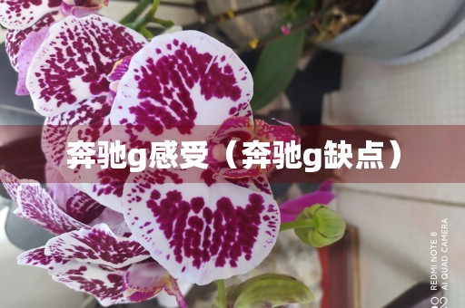 奔驰g感受（奔驰g缺点）