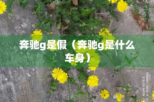 奔驰g是假（奔驰g是什么车身）