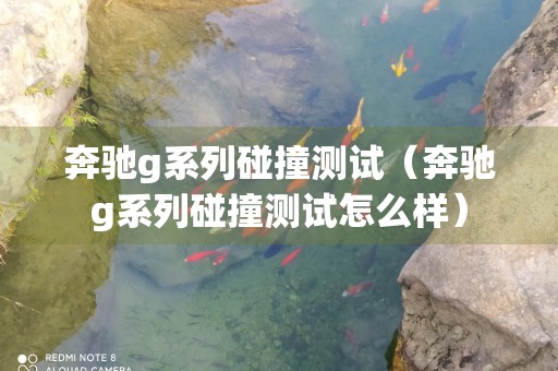 奔驰g系列碰撞测试（奔驰g系列碰撞测试怎么样）