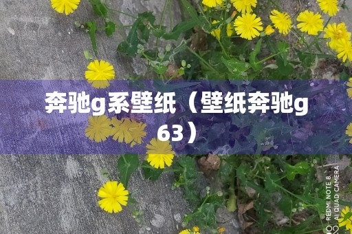 奔驰g系壁纸（壁纸奔驰g63）