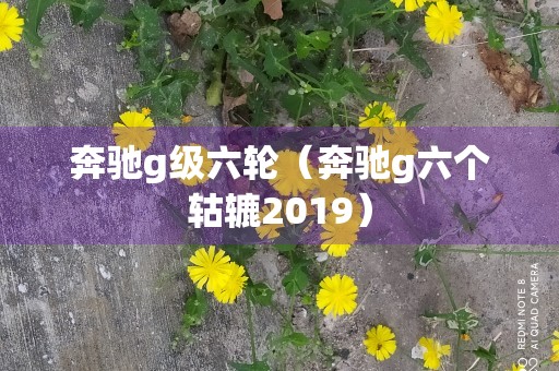 奔驰g级六轮（奔驰g六个轱辘2019）