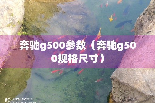 奔驰g500参数（奔驰g500规格尺寸）