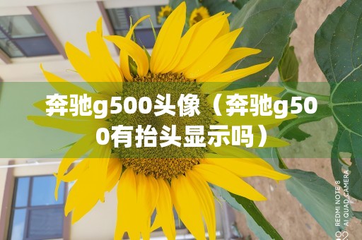 奔驰g500头像（奔驰g500有抬头显示吗）