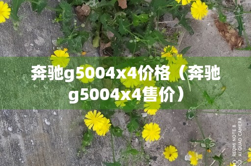 奔驰g5004x4价格（奔驰g5004x4售价）