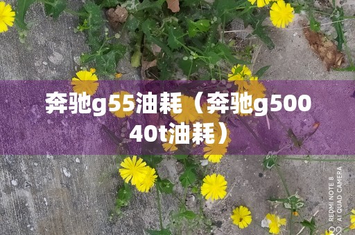 奔驰g55油耗（奔驰g50040t油耗）