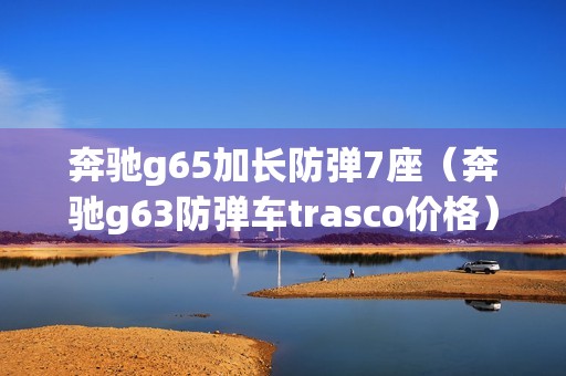 奔驰g65加长防弹7座（奔驰g63防弹车trasco价格）