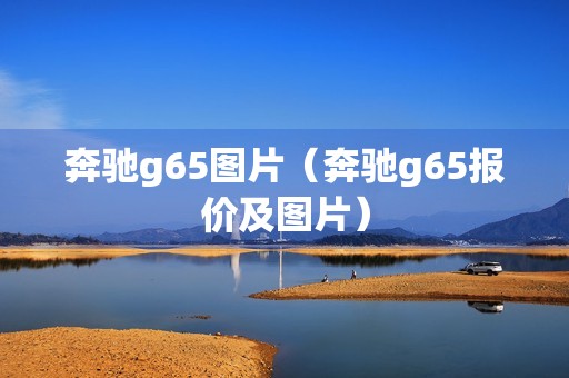 奔驰g65图片（奔驰g65报价及图片）