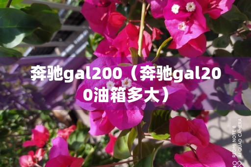 奔驰gal200（奔驰gal200油箱多大）