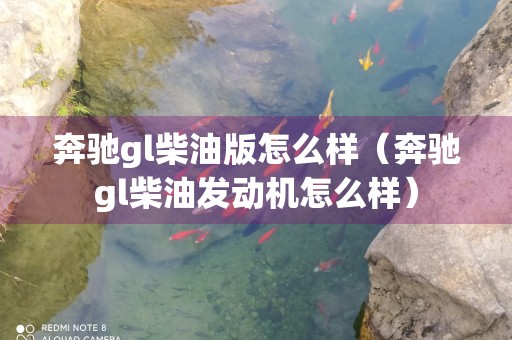 奔驰gl柴油版怎么样（奔驰gl柴油发动机怎么样）