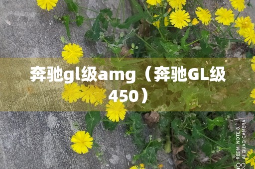 奔驰gl级amg（奔驰GL级450）