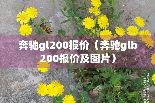 奔驰gl200报价（奔驰glb200报价及图片）