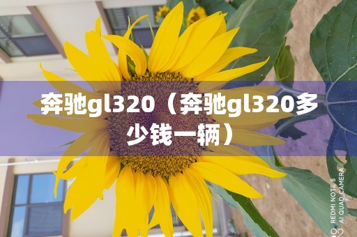 奔驰gl320（奔驰gl320多少钱一辆）