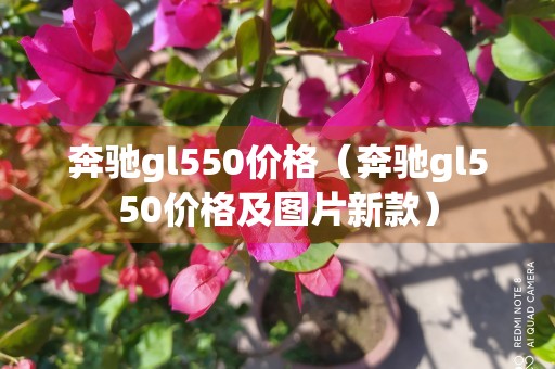 奔驰gl550价格（奔驰gl550价格及图片新款）