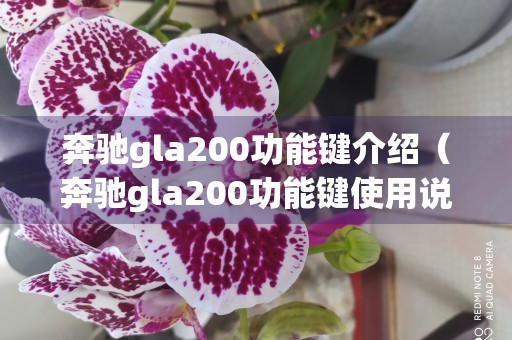 奔驰gla200功能键介绍（奔驰gla200功能键使用说明）