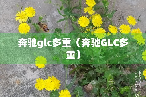 奔驰glc多重（奔驰GLC多重）