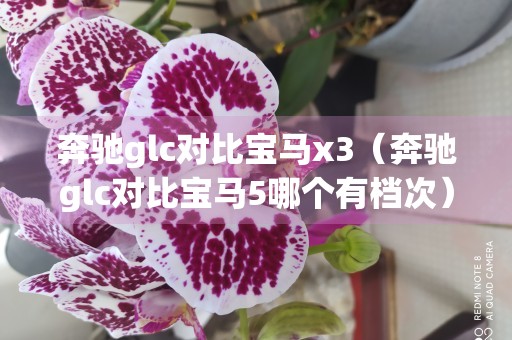 奔驰glc对比宝马x3（奔驰glc对比宝马5哪个有档次）