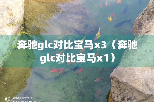 奔驰glc对比宝马x3（奔驰glc对比宝马x1）