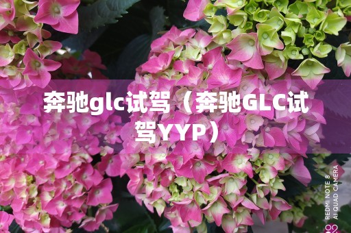 奔驰glc试驾（奔驰GLC试驾YYP）